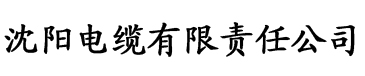 美日韩一级电缆厂logo